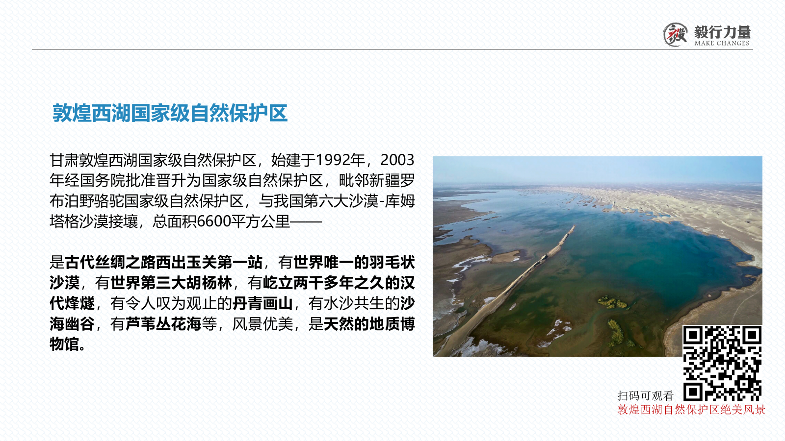 2020保护野生动物公益戈壁行活动.pptx_第6页