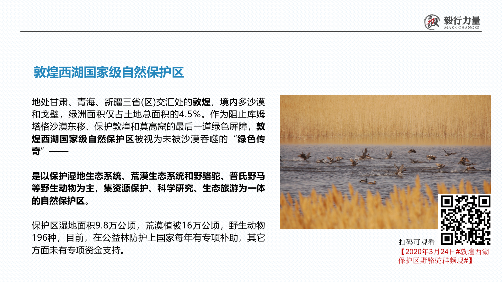 2020保护野生动物公益戈壁行活动.pptx_第7页