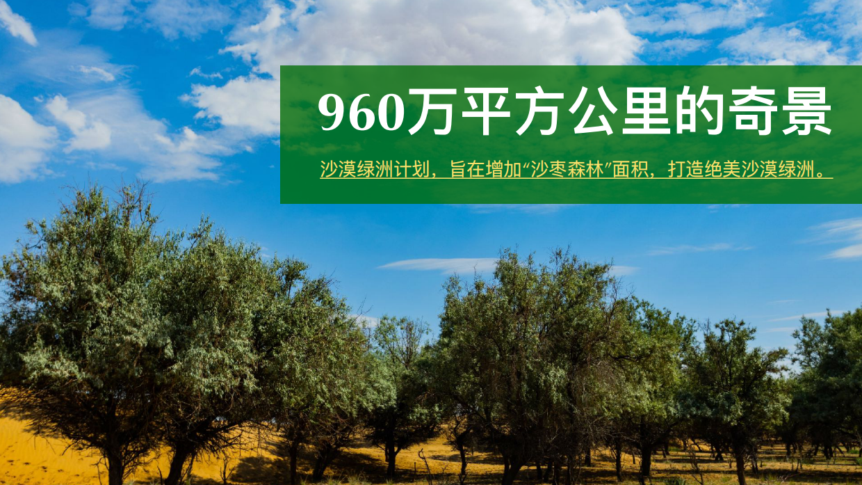 2023中国邮政沙漠绿洲计划方案.pdf_第4页