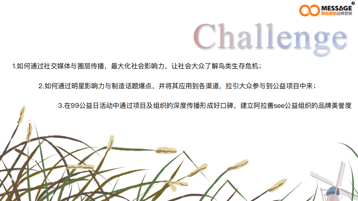 99公益日“任鸟飞”项目推广传播项目简版.pdf_第2页