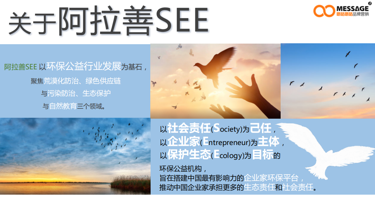 99公益日“任鸟飞”项目推广传播项目简版.pdf_第5页