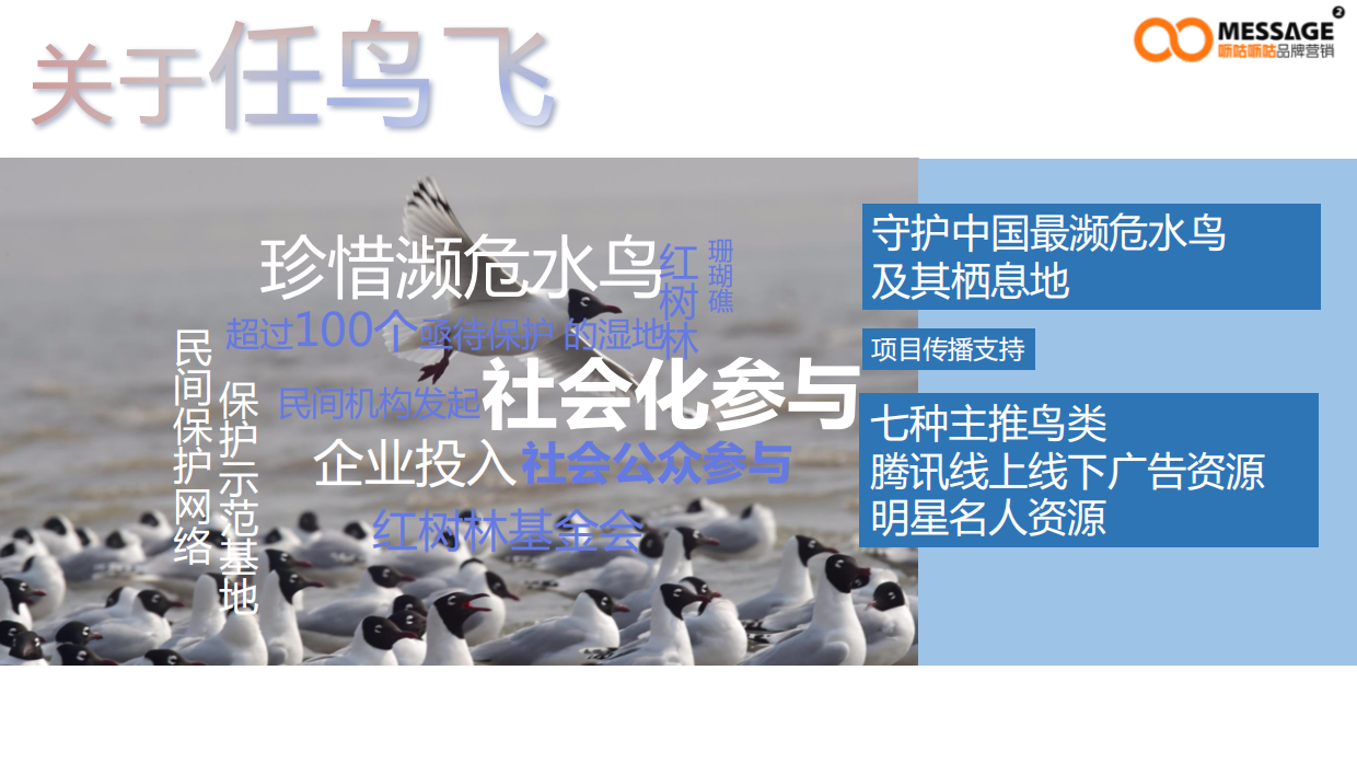 99公益日“任鸟飞”项目推广传播项目简版.pdf_第6页
