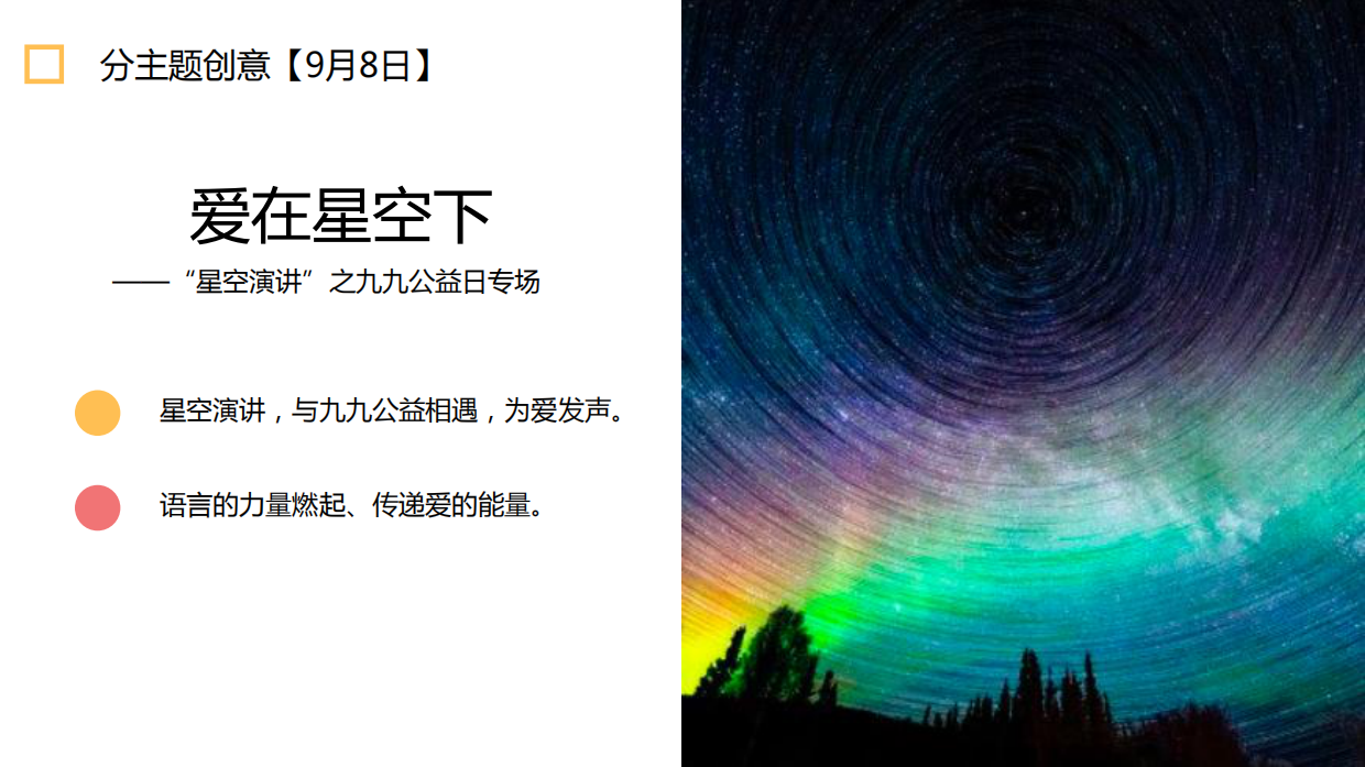 99公益日”明星系列活动策划方案（全）.pdf_第10页