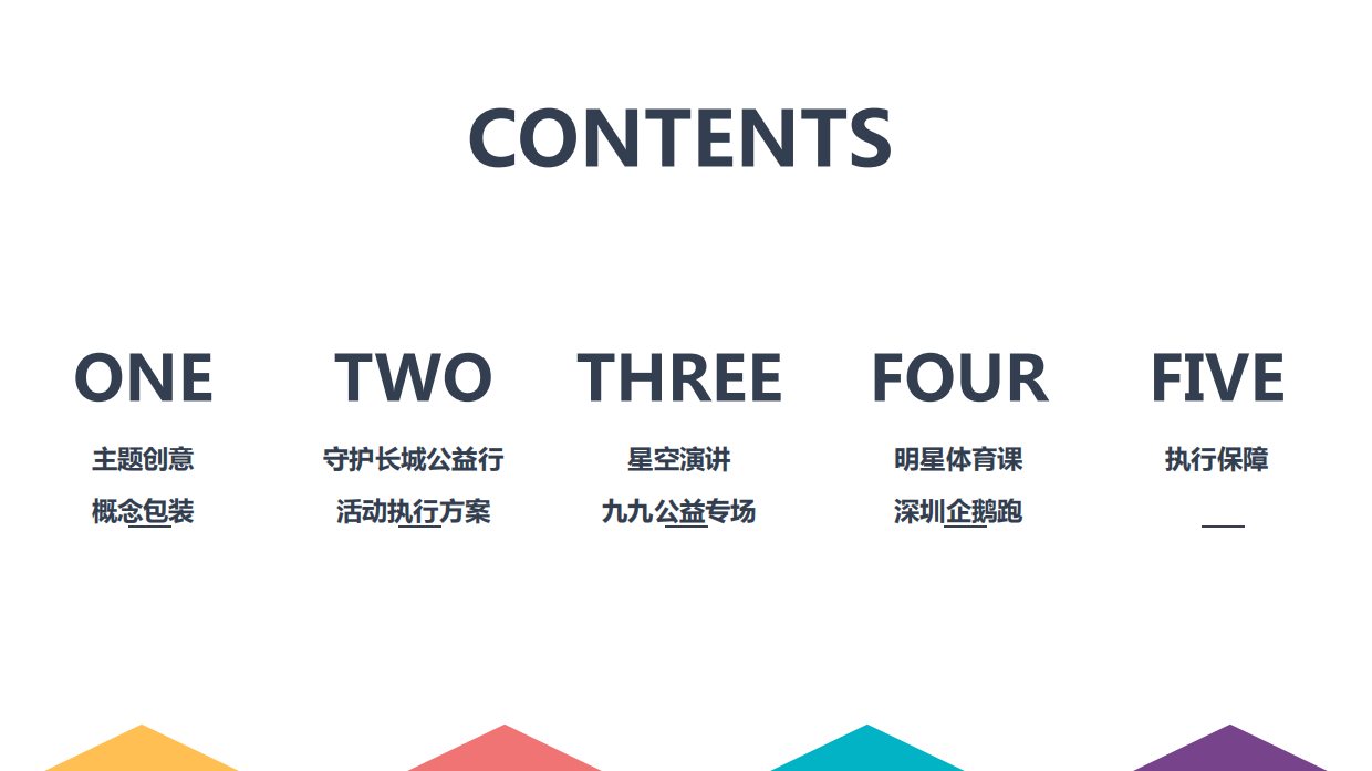 99公益日”明星系列活动策划方案（全）.pdf_第2页