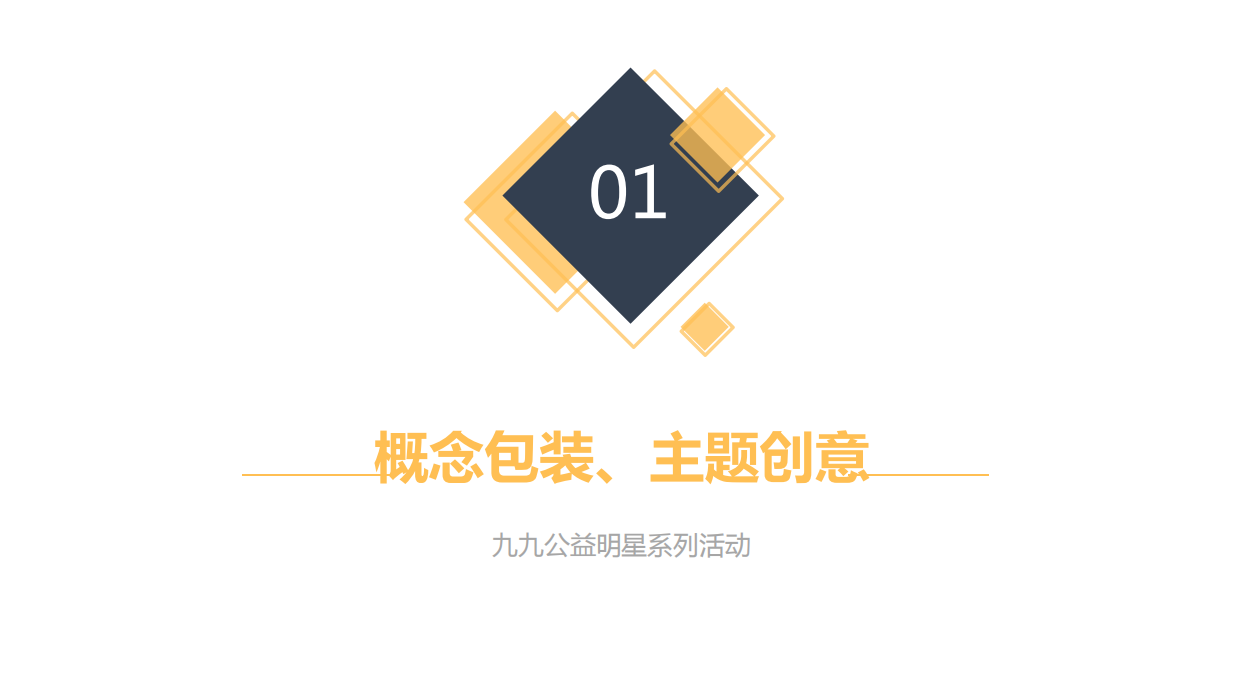99公益日”明星系列活动策划方案（全）.pdf_第3页