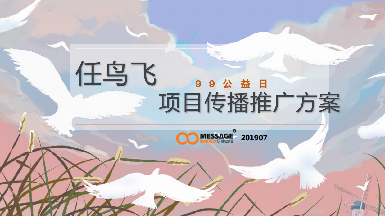 99公益日「任鸟飞」项目推广传播项目简版-55页.pdf_第1页