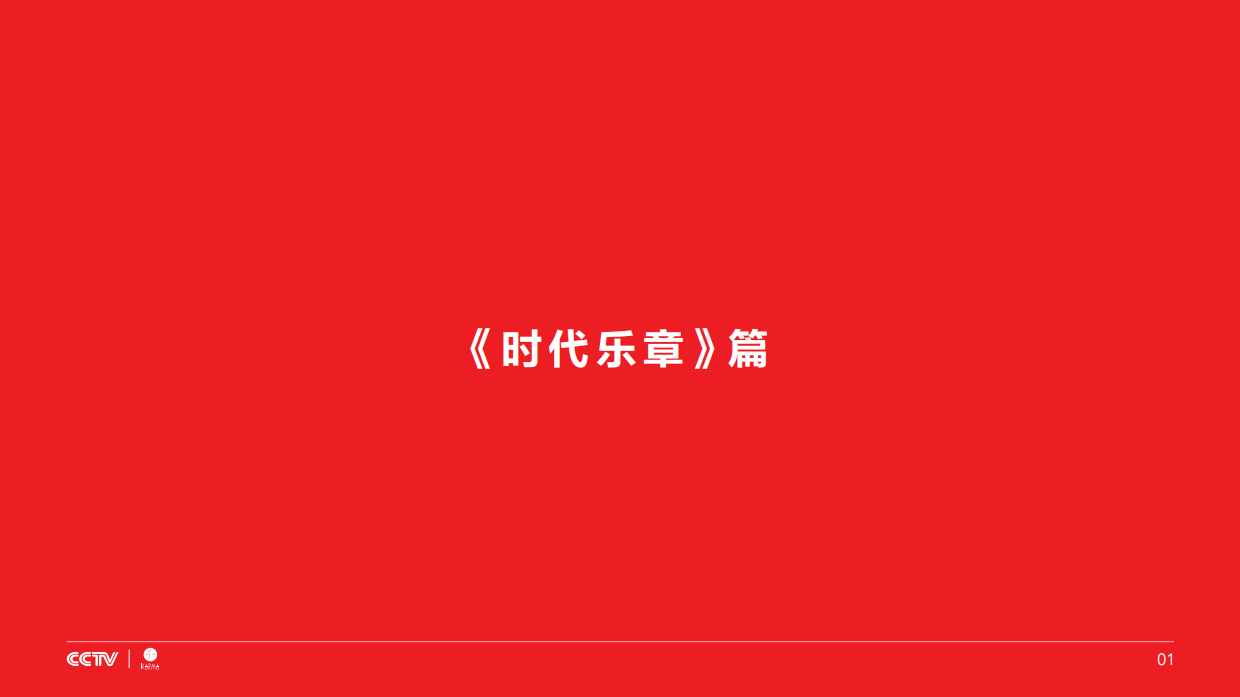 CCTV春晚公益广告创意方案-23P.pdf_第2页