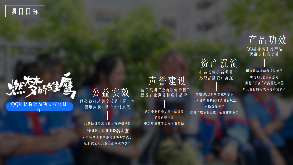QQ星奶粉伊利营养2030燃梦的雏鹰公益项目.pdf_第3页