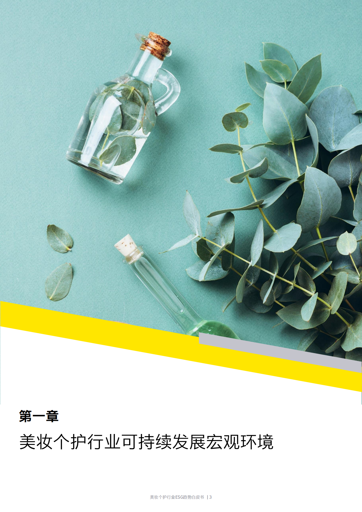 安永：2024美妆个护行业ESG趋势白皮书.pdf_第4页