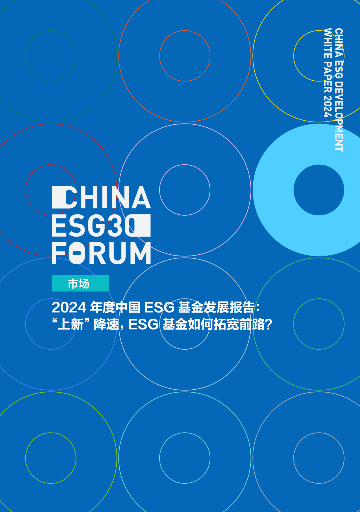 财新智库：2024年中国ESG发展白皮书.pdf_第5页
