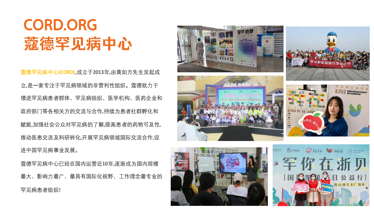 城市守护者公益活动方案《点亮孩子心中的光》.pdf_第6页