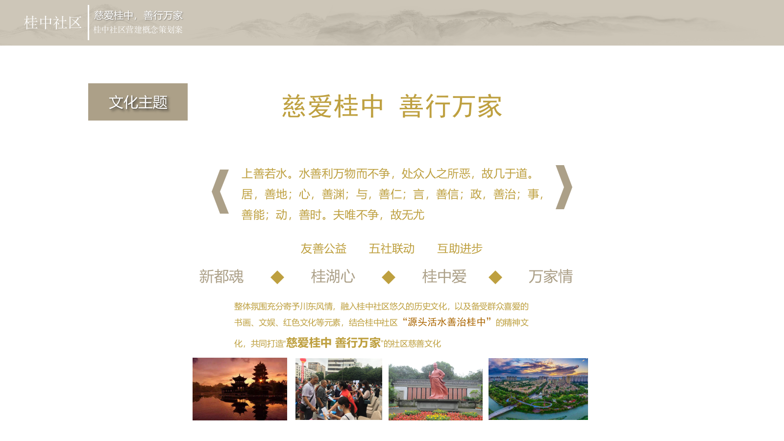 桂中慈善项目文化建设.pptx_第10页