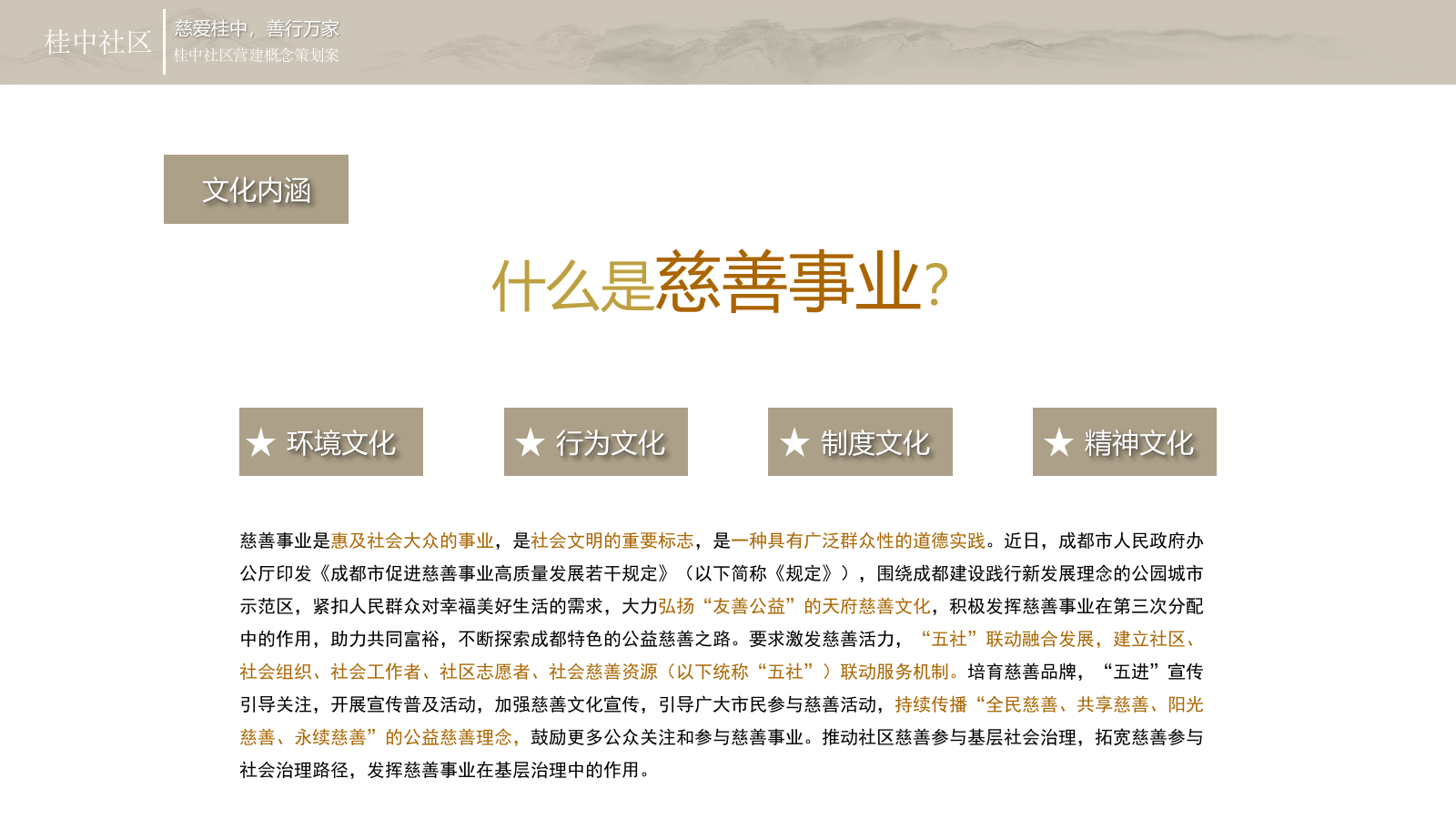 桂中慈善项目文化建设.pptx_第4页