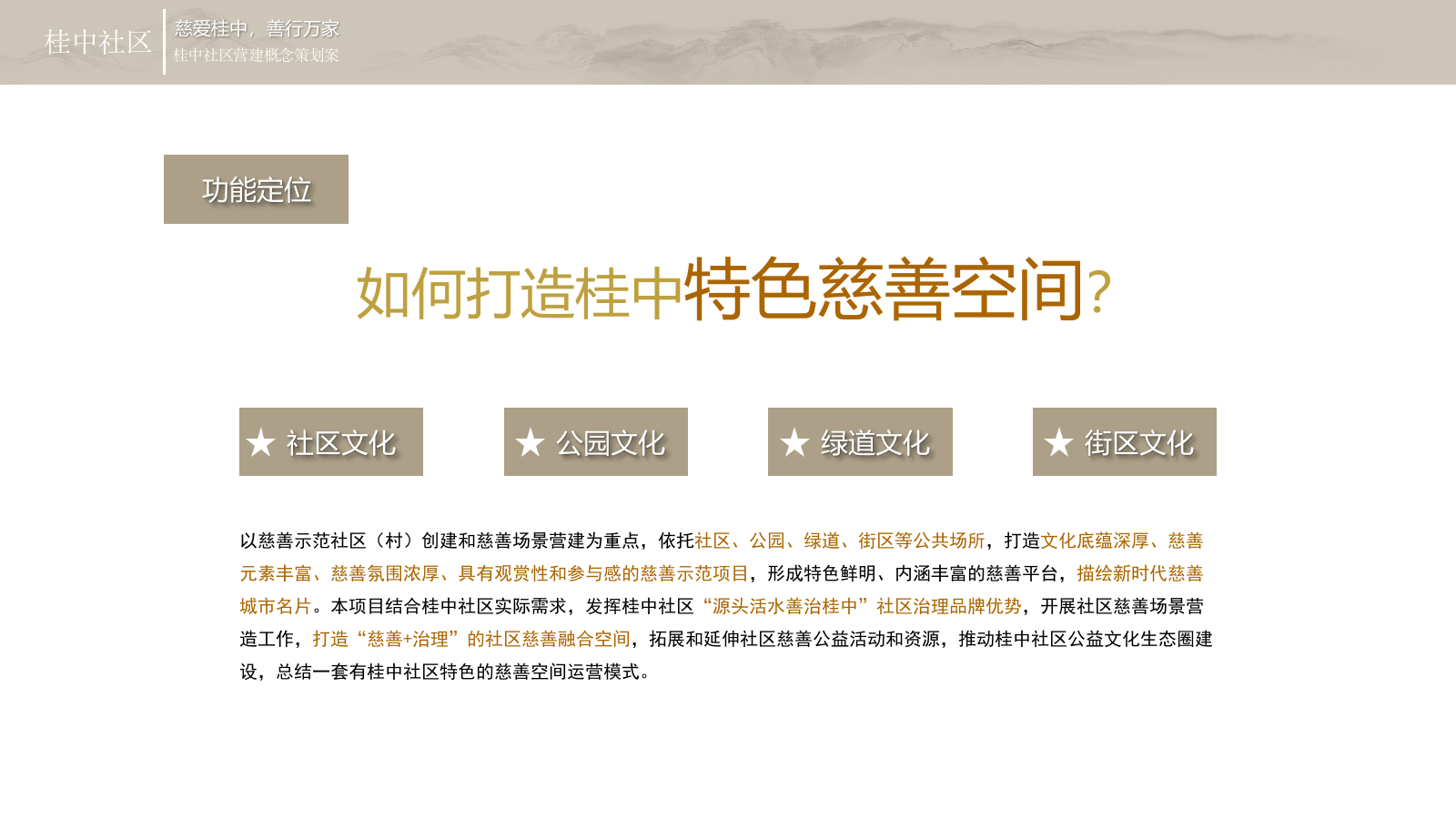 桂中慈善项目文化建设.pptx_第8页