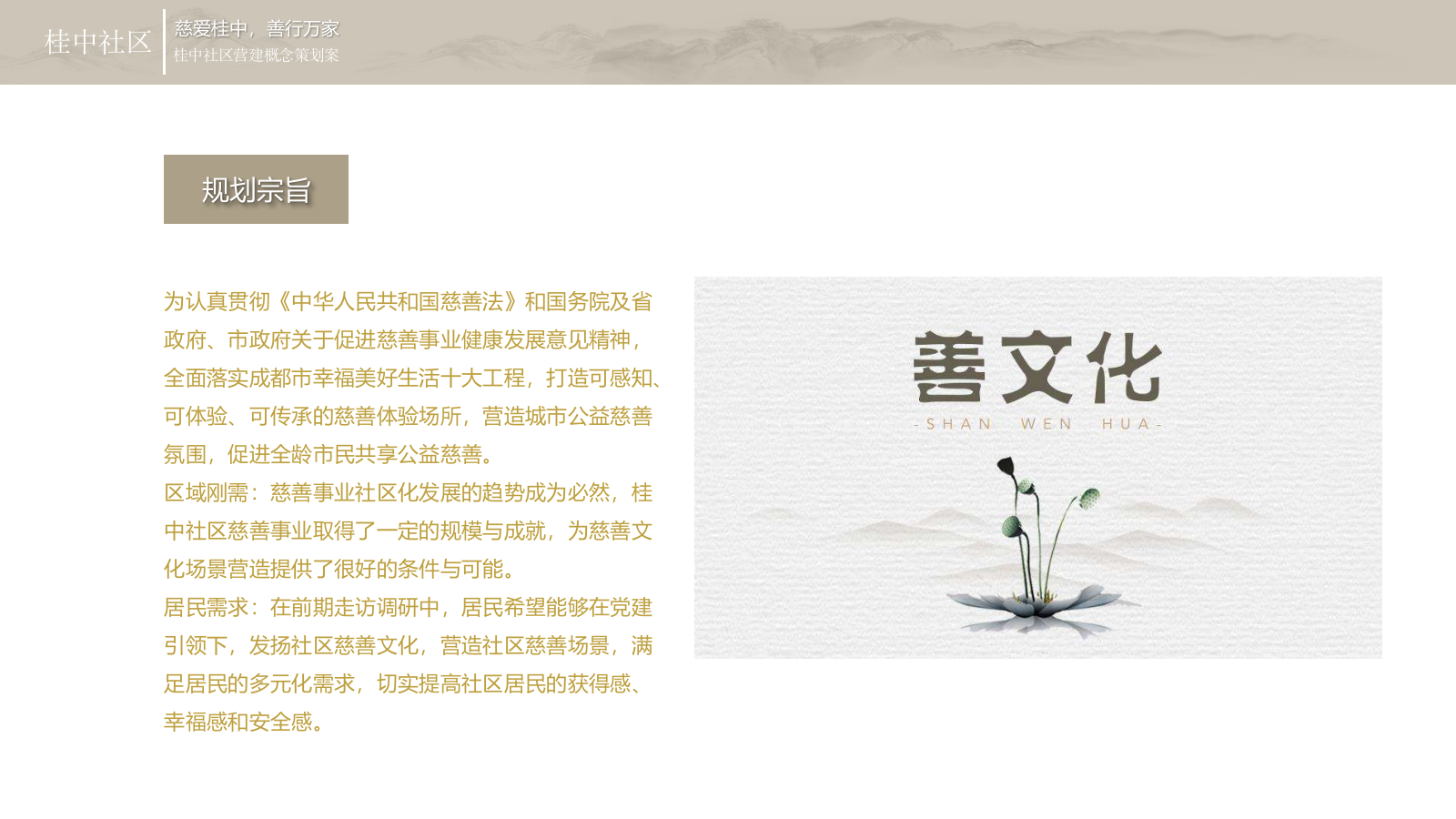 桂中慈善项目文化建设.pptx_第9页