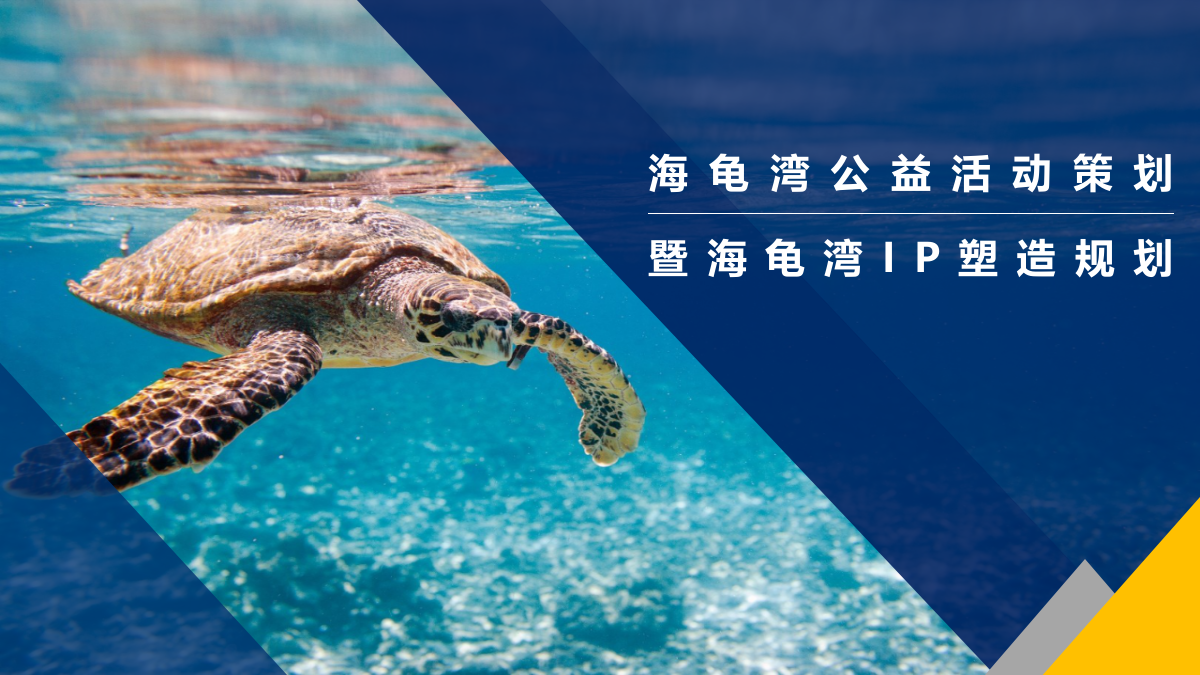 海龟湾公益活动策划暨IP塑造策划案（框架）.pptx_第1页