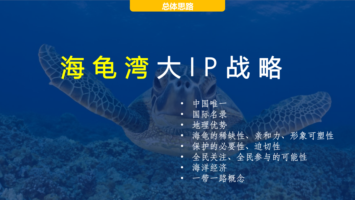 海龟湾公益活动策划暨IP塑造策划案（框架）.pptx_第10页