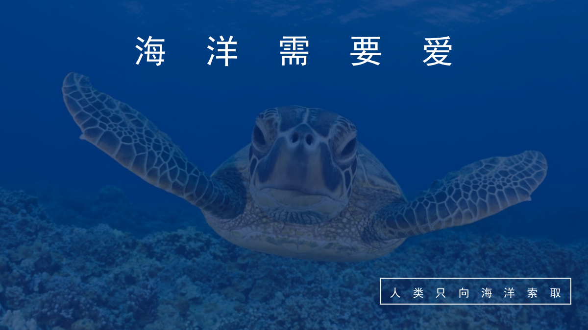 海龟湾公益活动策划暨IP塑造策划案（框架）.pptx_第4页