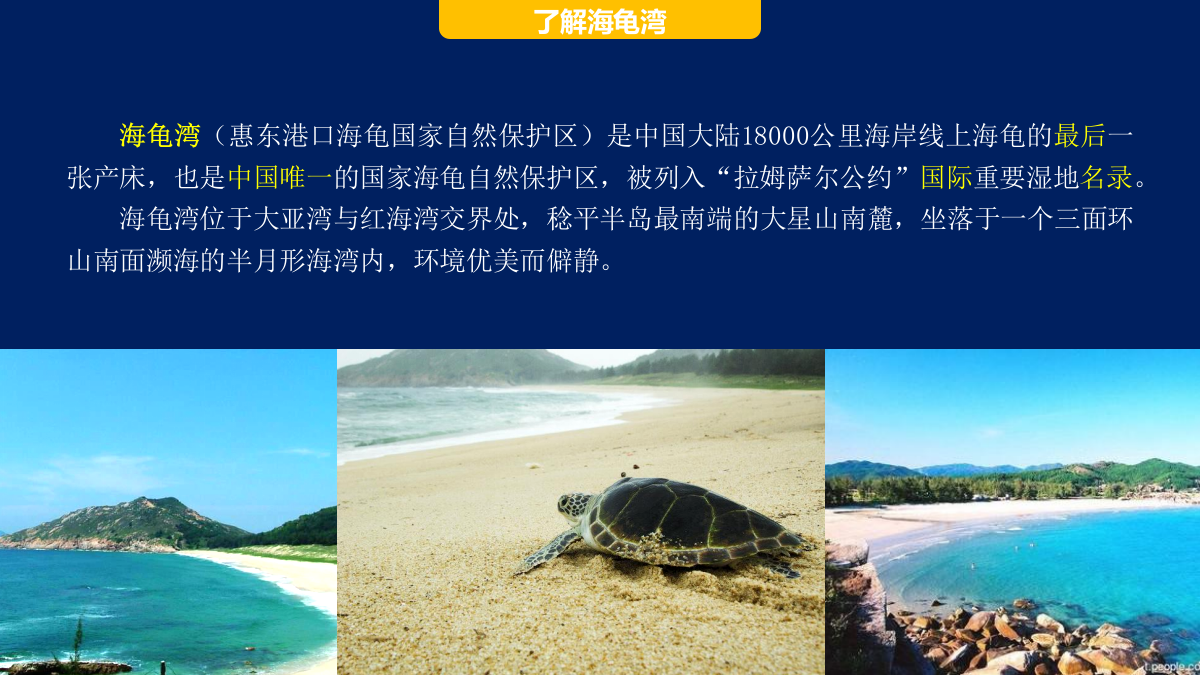 海龟湾公益活动策划暨IP塑造策划案（框架）.pptx_第5页