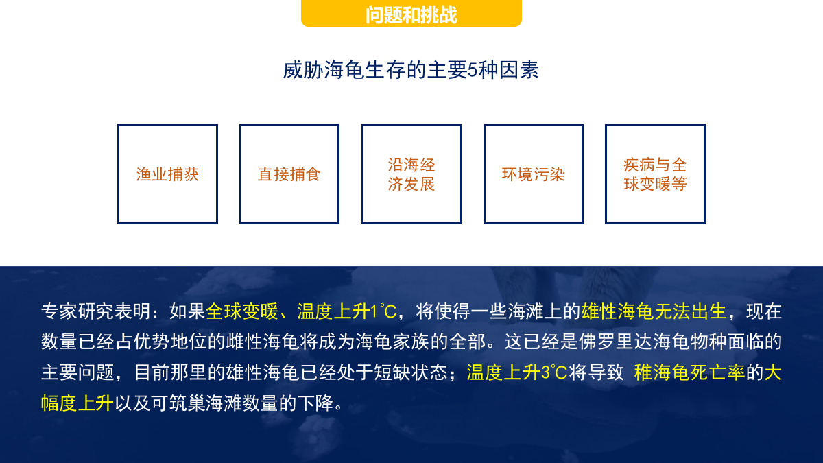 海龟湾公益活动策划暨IP塑造策划案（框架）.pptx_第7页