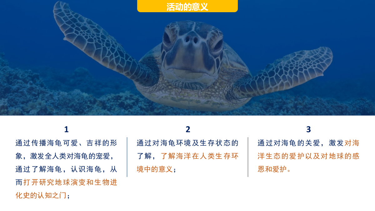 海龟湾公益活动策划暨IP塑造策划案（框架）.pptx_第8页