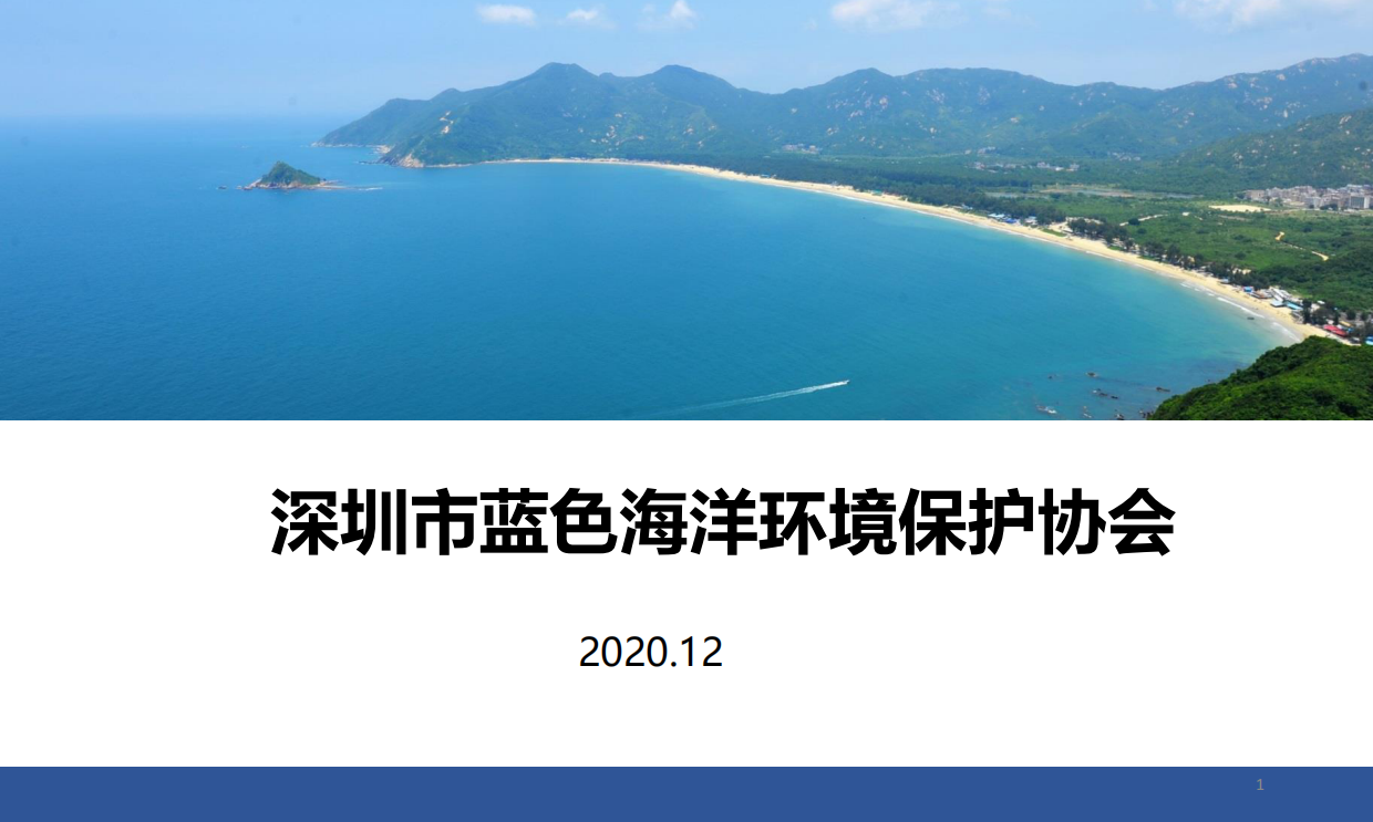 蓝色海洋环境保护协会-合作介绍.pdf_第1页