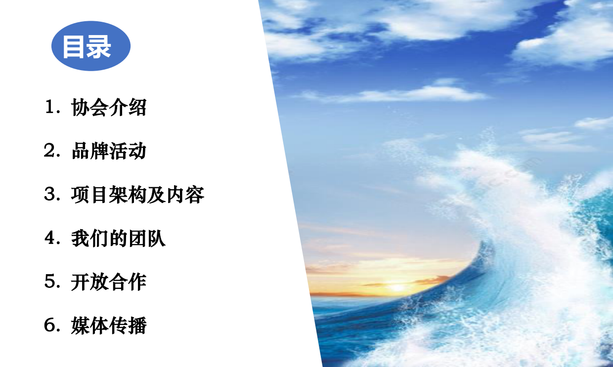 蓝色海洋环境保护协会-合作介绍.pdf_第2页