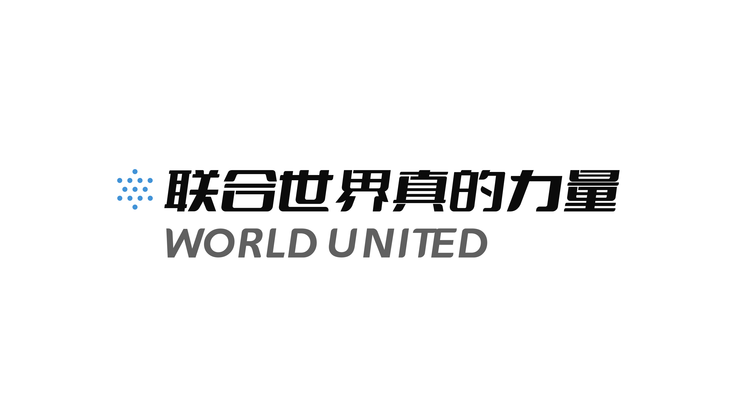 品牌手册丨公益组织世界联合介绍.pdf_第2页
