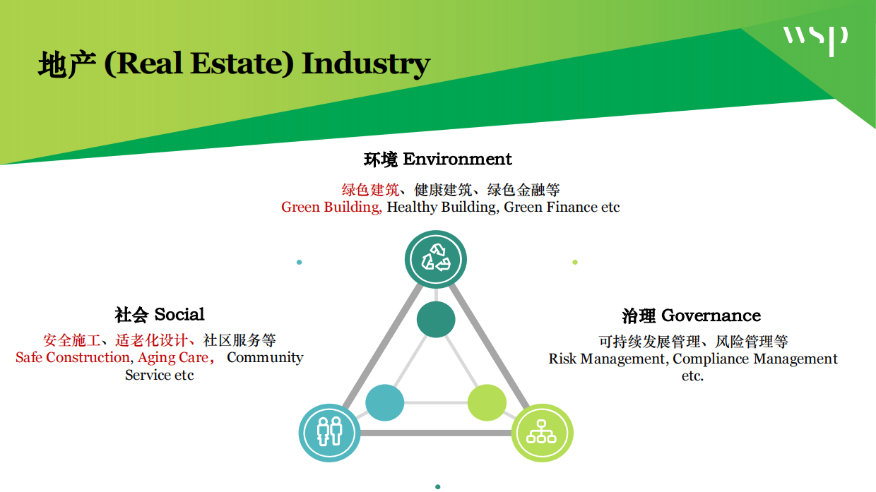 企业在ESG表现提升中遇到的问题和困难.pdf_第5页