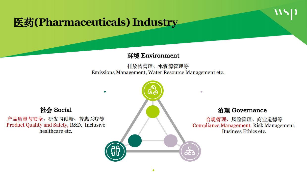 企业在ESG表现提升中遇到的问题和困难.pdf_第6页