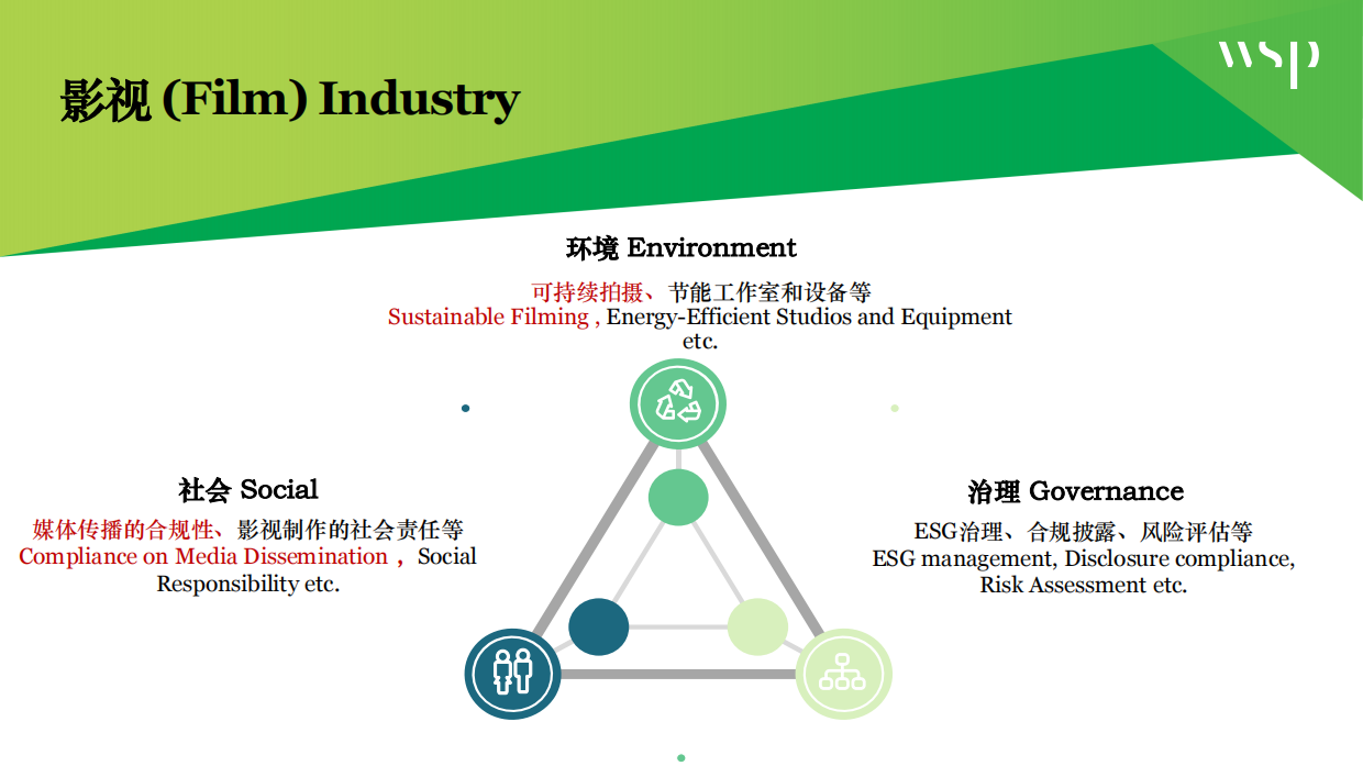 企业在ESG表现提升中遇到的问题和困难.pdf_第7页