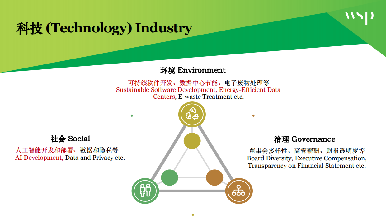 企业在ESG表现提升中遇到的问题和困难.pdf_第8页