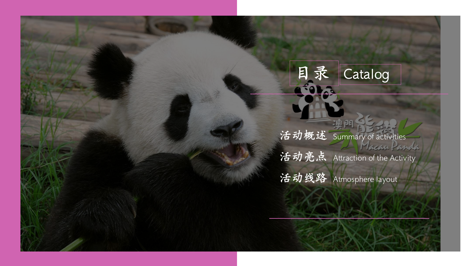 情系自然珍爱熊猫“与爱同行”熊猫文化公益展活动方案.pptx_第2页