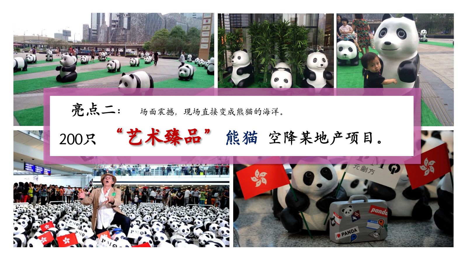 情系自然珍爱熊猫“与爱同行”熊猫文化公益展活动方案.pptx_第9页