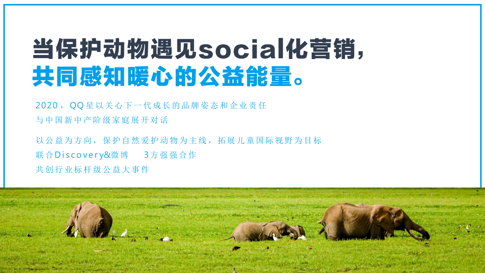 伊利QQ星#童心协力保护动物#公益营销结案.pptx_第3页