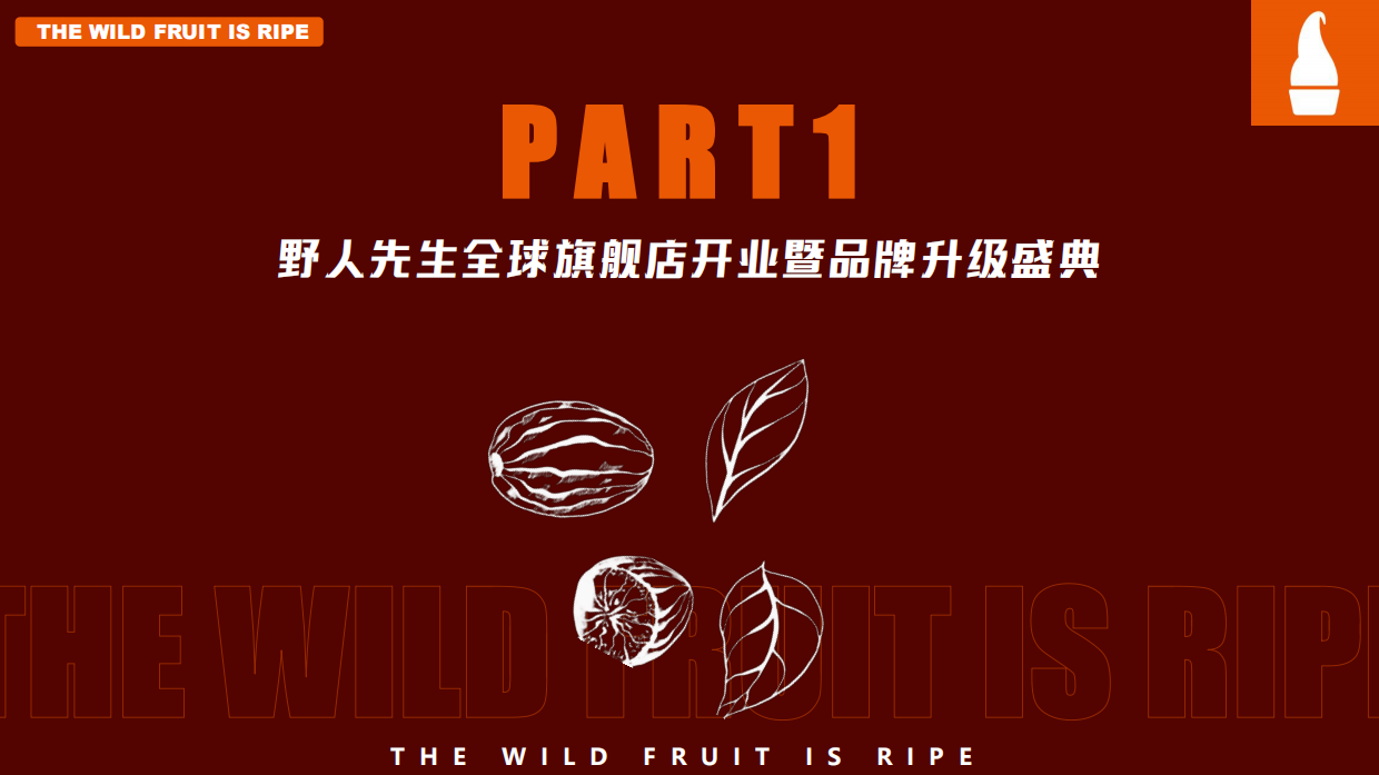 野人先生全球旗舰店开业暨品牌升级方案.pdf_第8页