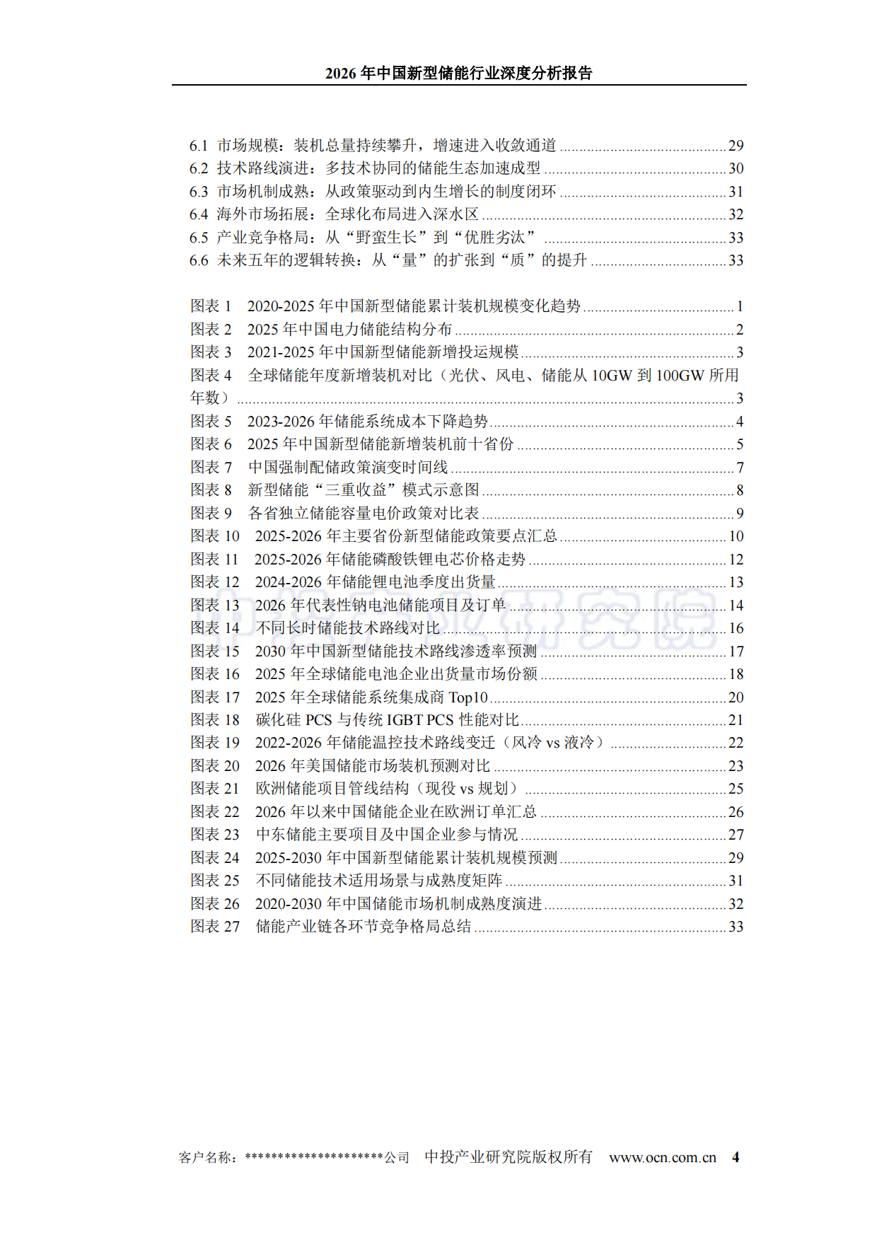 2026年中国新型储能行业深度分析报告-中投顾问.pdf_第4页