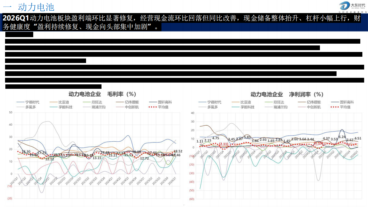 大东时代_锂电池产业链2026年Q1财务分析及预测.pdf_第5页