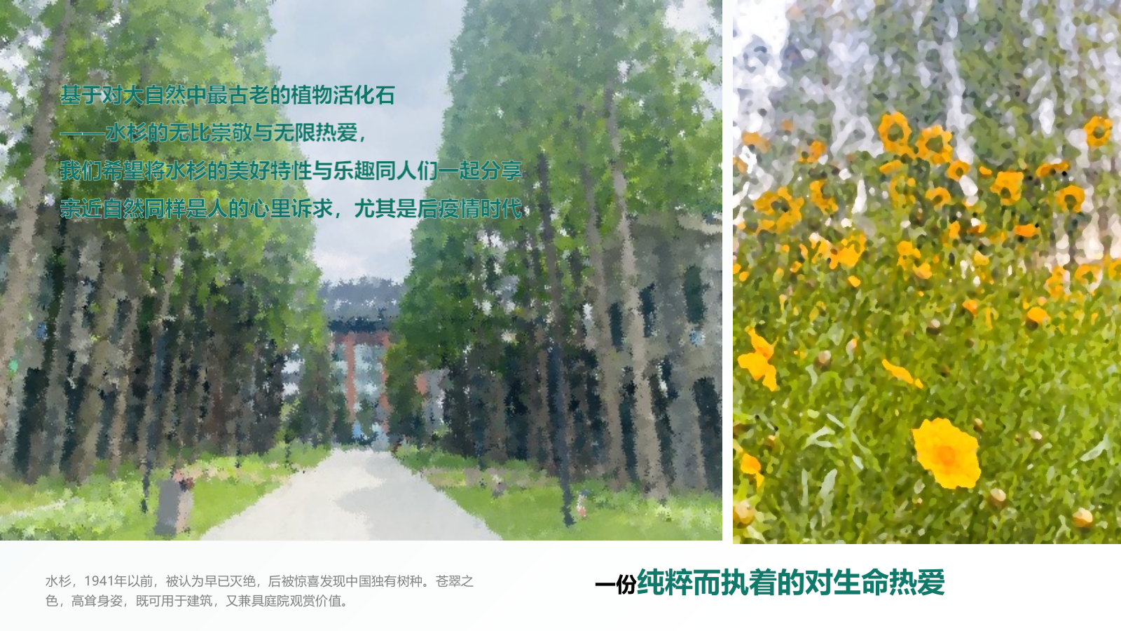当“树”遇见“艾”端午轰趴汇.pptx_第3页