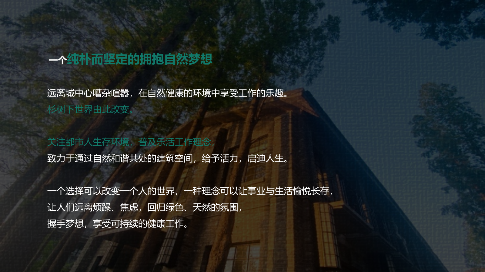 当“树”遇见“艾”端午轰趴汇.pptx_第4页