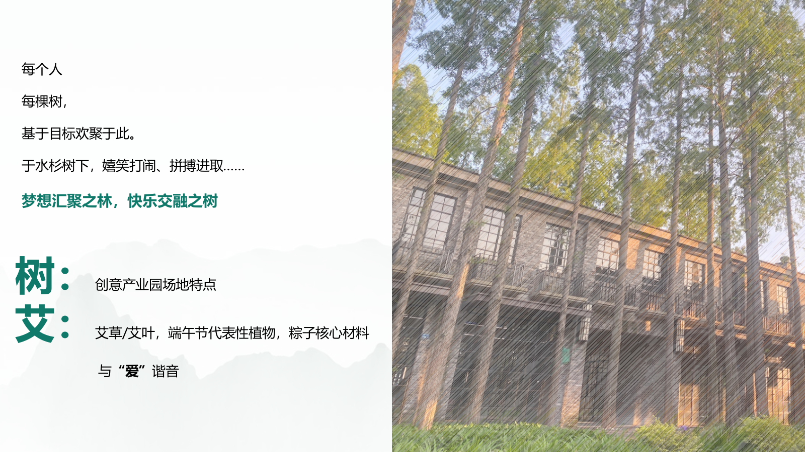 当“树”遇见“艾”端午轰趴汇.pptx_第5页