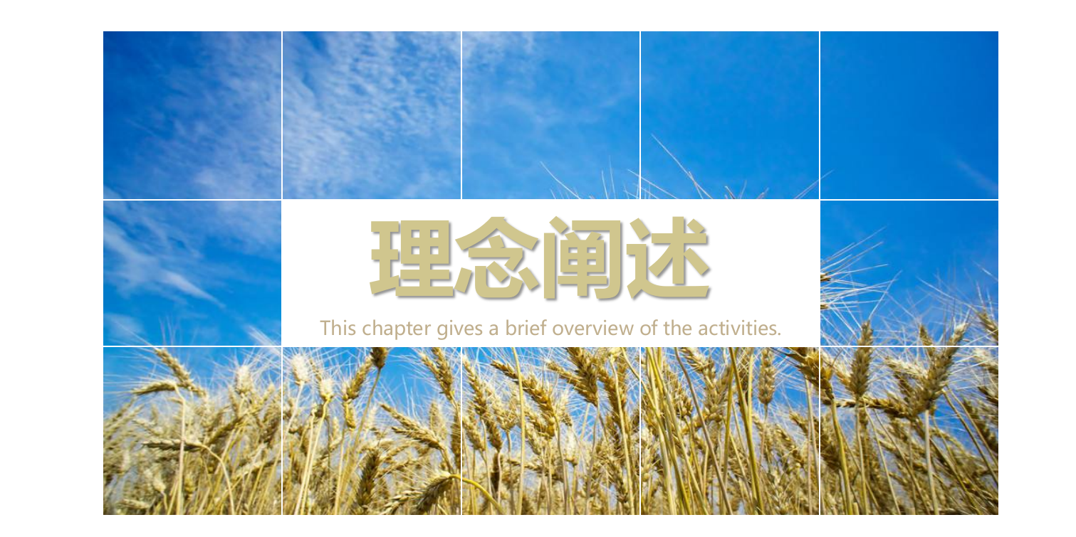 地产项目端午节&父亲节专场活动策划方案-43P.pptx_第2页