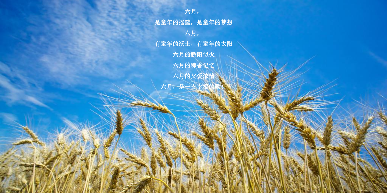 地产项目端午节&父亲节专场活动策划方案-43P.pptx_第3页