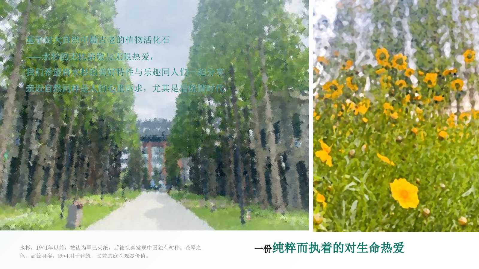 端午主题户外轰趴汇「当“树”玉到“艾”主题」活动策划方案.pptx_第3页