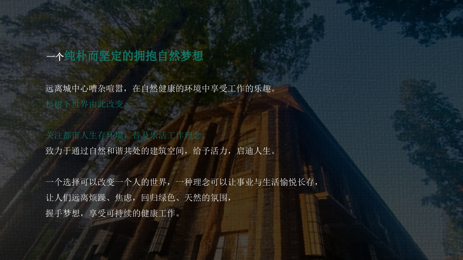 端午主题户外轰趴汇「当“树”玉到“艾”主题」活动策划方案.pptx_第4页