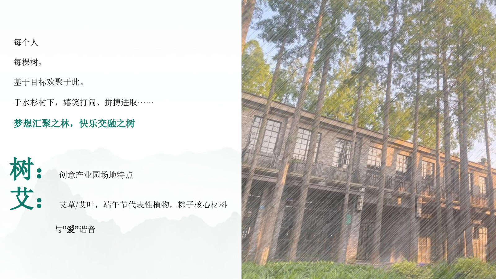 端午主题户外轰趴汇「当“树”玉到“艾”主题」活动策划方案.pptx_第5页