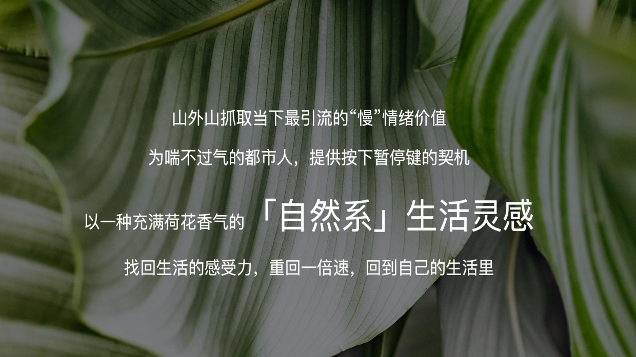 山外山×玉鸟集夏日好荷市端午限定荷主题市集.pdf_第5页