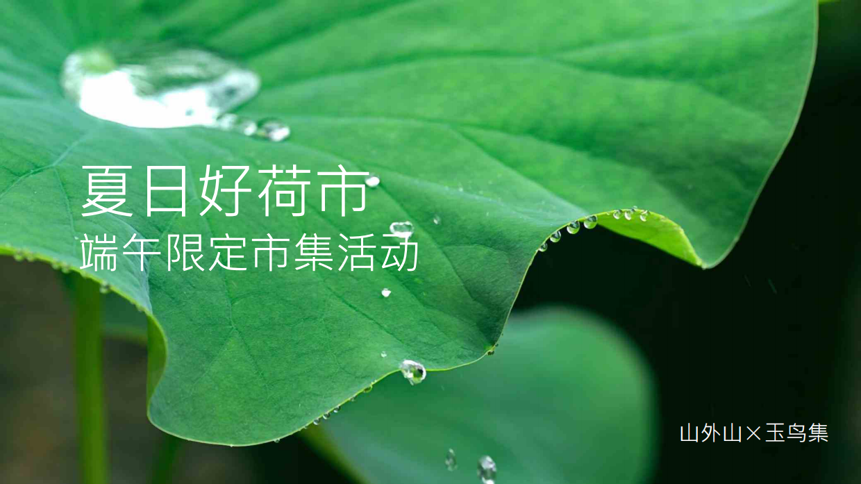 夏日好荷市端午限定荷主题市集.pdf_第1页