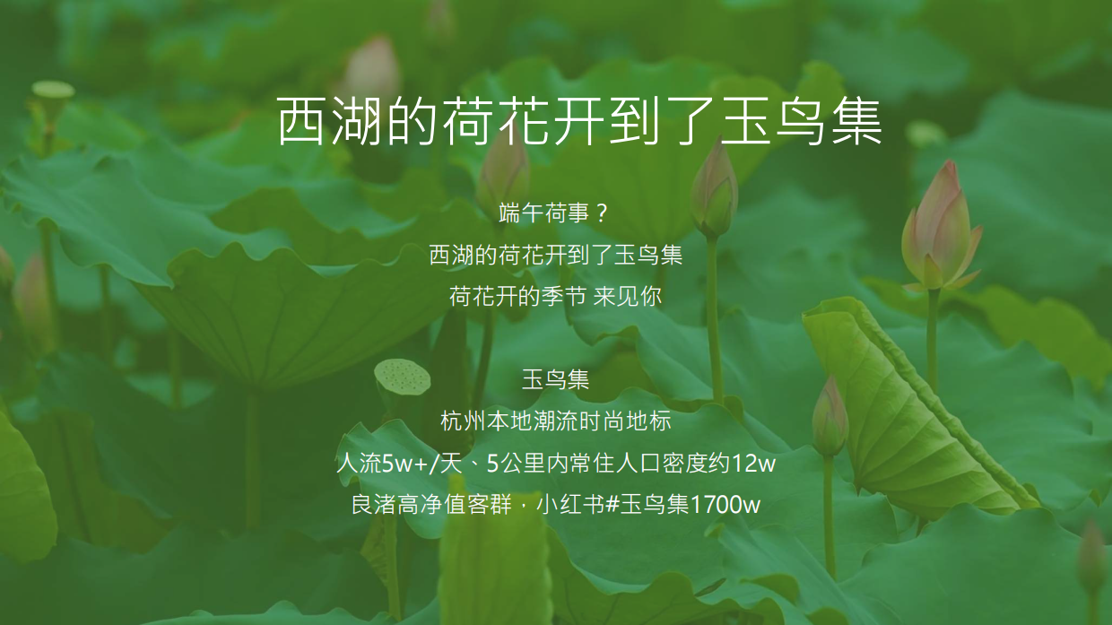 夏日好荷市端午限定荷主题市集.pdf_第2页