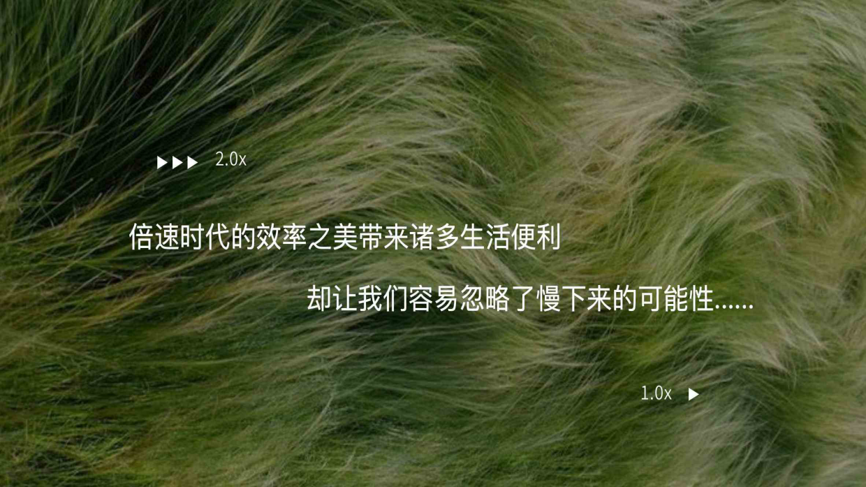 夏日好荷市端午限定荷主题市集.pdf_第3页